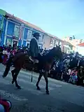 Q'axilu of Pichacani