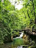 Bridge II