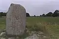 The runestone and its surroundings by the sea