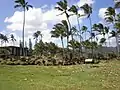 Hikinaakalā Heiau