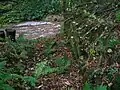 Looking along the pit towards the Glazert Water
