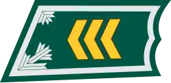 Kersantti (Finnish Army)[57]