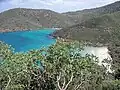 Basil Bay