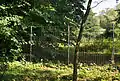 Invisible fence between Casino and Cloister Courtyard