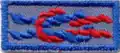 Air Scout Ace Award