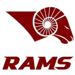 Team logo