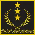 Gjeneral lejtnant[30] (Kosovo Security Force)