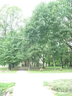 Park in the centre of the village; a Catholic church of German Stefansfeld, demolished by the Yugoslav partisans in 1945s, stood here