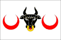 Flag of Krumsín