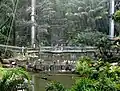 Bird Park interior