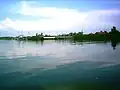 Cow ferry to the island of Kirr