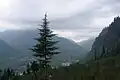 Panoramic view