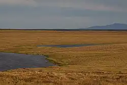 Kyttyk Peninsula