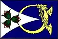 Flag of Líšný
