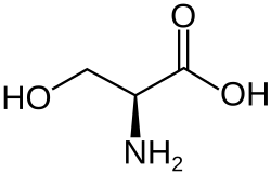 L-Serine (Ser&nbsp;/&nbsp;S)