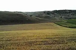Meșeni
