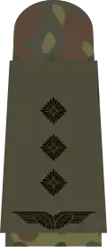 Hauptmann (field suit)