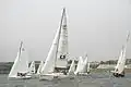 LS Cable & System Yamaha 31 Festa Yacht at the BMW Cup in June 2012