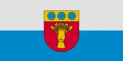 Flag of Rūjiena