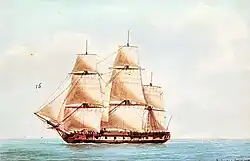 fluyt Lionne