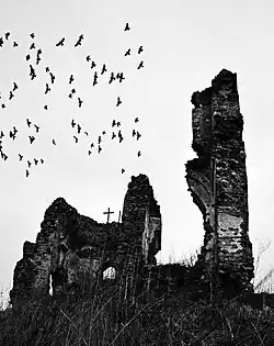 The ruins of Buciulești Monastery