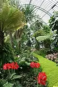 Interior of the Diana Greenhouse