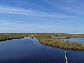 Flooded area