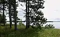 Lake Wissota State Park