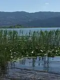 Partial view of Lake Trichonida.