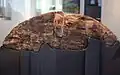 Wooden wheel fragment, c. 3000 BC[7]
