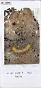 Micromorphological thin-section Lst-10291.