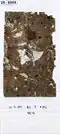 Micromorphological thin-section Lst-10303.