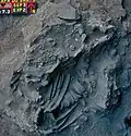 Burial 3 - Excavation at phase 2.