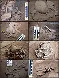 Burial 15. Multiple views of the excavation process.