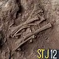 Burial 19. Excavation at phase 12.