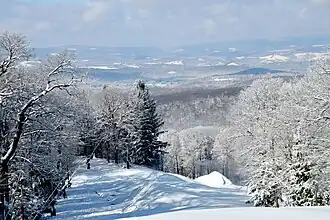 Laurel Mountain views