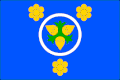 Flag of Leština