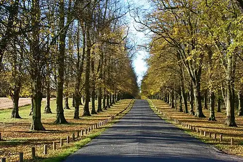 Clumber Park