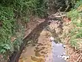 Garbage and aggradation in the Caladinho Stream between the Aparecida do Norte and Universitário neighborhoods.