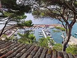 The port