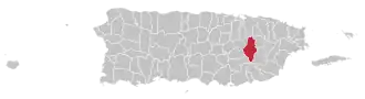 Map of Puerto Rico highlighting Caguas Municipality