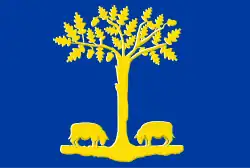 Flag of Lommel