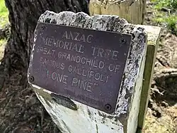 Te Mata, planted 29 September 1961[15]