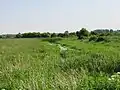 Stodmarsh
