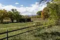 Looking out over the pasture