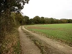 Honeypot Wood