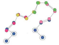 Loop construction.