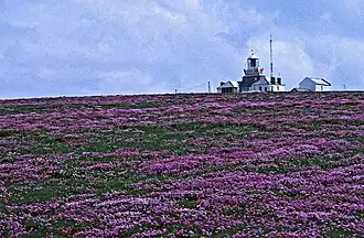 Lighthouse