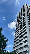 Lovett Tower Skyline