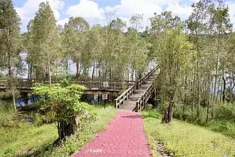 The park in 2024